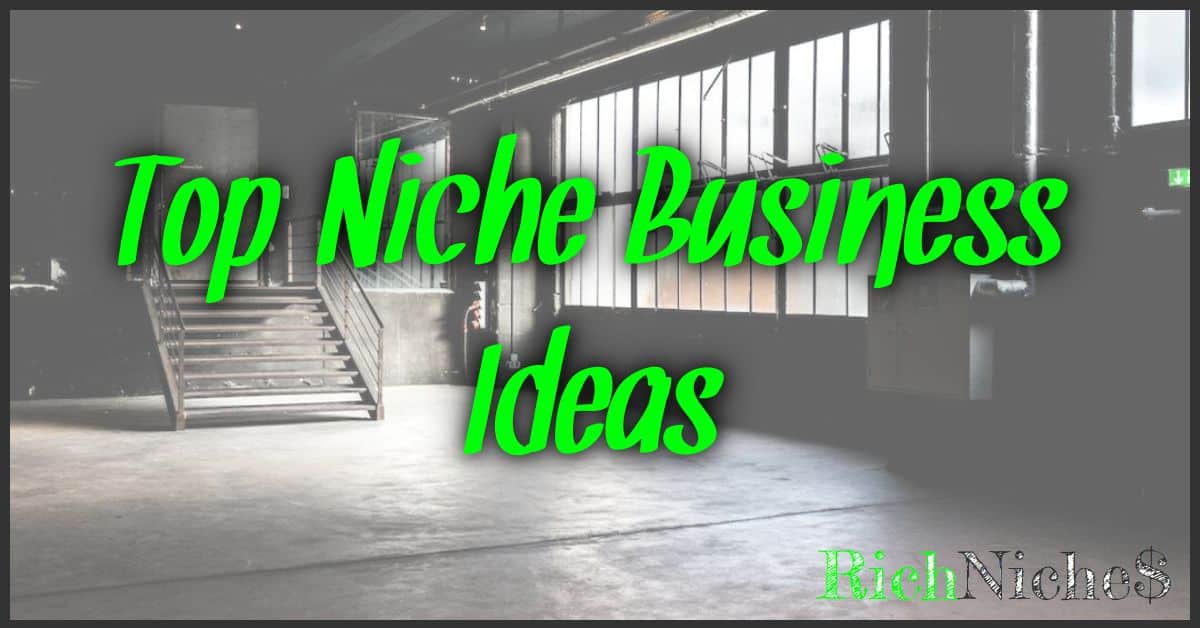 Top Niche Business Ideas