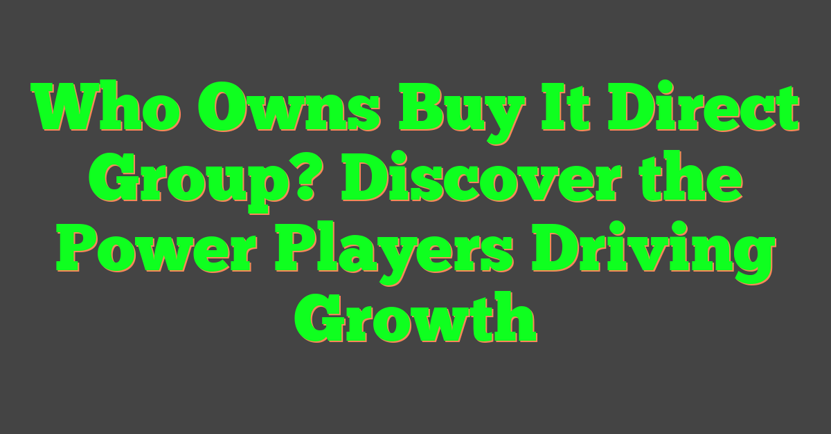 Who Owns Buy It Direct Group? Discover the Power Players Driving Growth