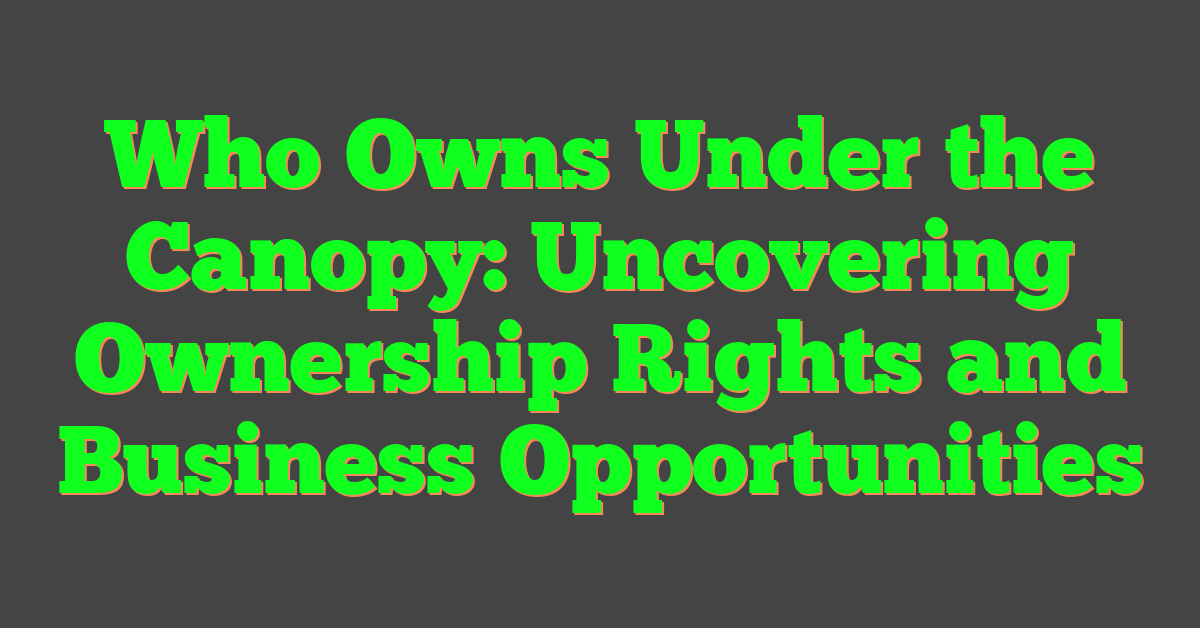 Who Owns Under the Canopy: Uncovering Ownership Rights and Business Opportunities